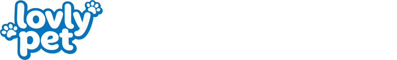外贸模版网站